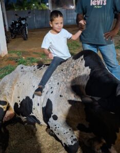 Benjamim e o boi Chicão. Foto/ Arquivo pessoal